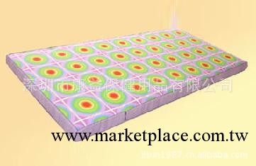 廠傢直銷磁性保健床墊 磁療床墊 健康睡眠系統 可批發工廠,批發,進口,代購