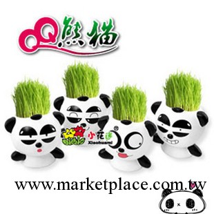 新品供應 QQ 熊貓 卡通陶瓷娃娃植物 迷你盆栽工廠,批發,進口,代購