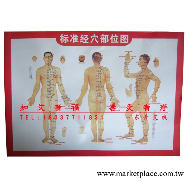 東升特價彩色人體經絡穴位圖掛圖 個人傢庭養生保健器材 艾灸必備工廠,批發,進口,代購