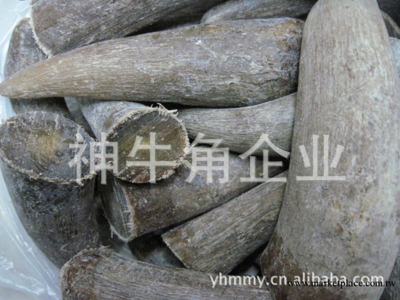 供應《經絡保健》實心犛牛角尖毛料140元/公斤批發工廠,批發,進口,代購