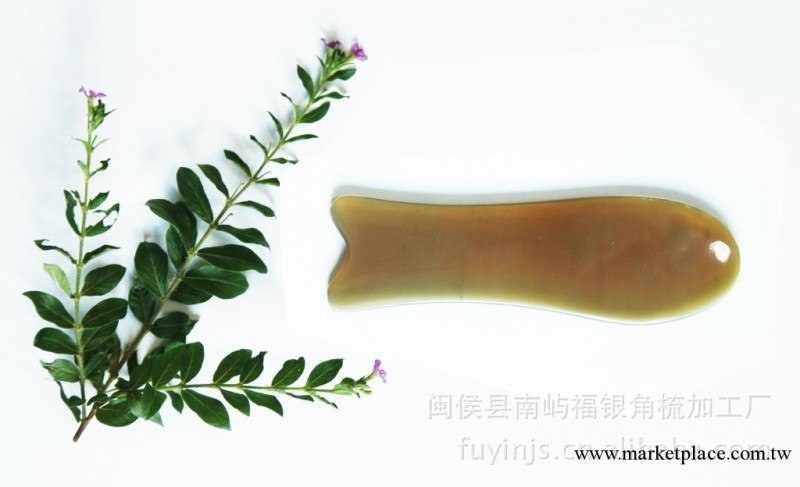 刮痧板批發  天然牛角刮痧板 羊角刮痧板工廠,批發,進口,代購