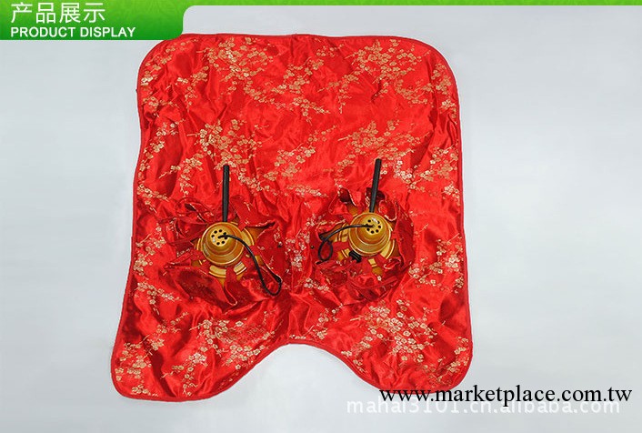 乳灸機 美胸機 胸部護理 預防乳腺增生簡裝套【廠傢直銷】工廠,批發,進口,代購