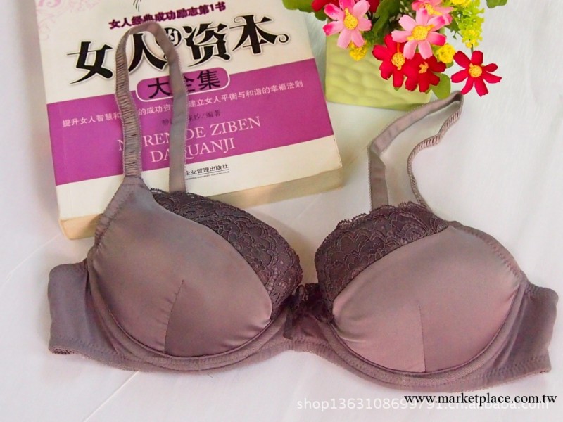 外貿胸罩批發 俄羅斯大品牌 歐美原單胸罩工廠,批發,進口,代購