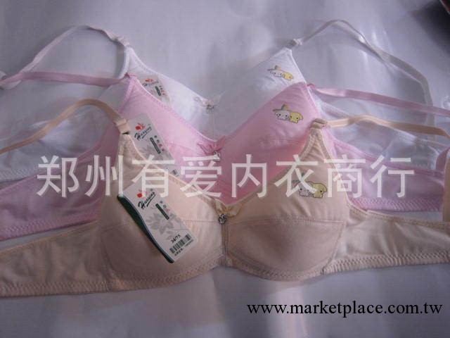 批發少女/小女孩全棉無圈簡單舒適胸罩內衣工廠,批發,進口,代購
