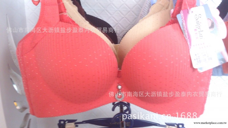 賽格蘭8701#無縫調整型內衣 網孔透氣佈 無痕一片式胸罩工廠,批發,進口,代購