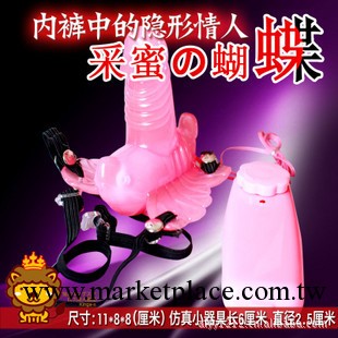 批發供應性保健品 一件代發 女用穿帶情趣蝴蝶工廠,批發,進口,代購