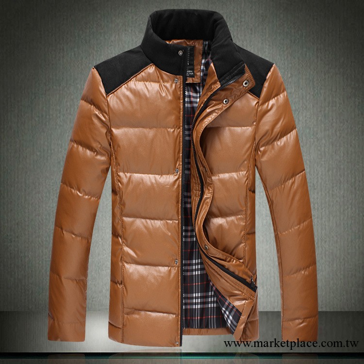 男式高端大氣羽絨衣2013冬裝時尚修身立領男裝外套一件代發6189工廠,批發,進口,代購