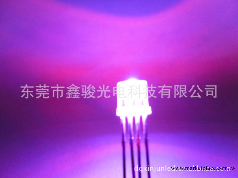 LED 廠傢直銷高亮F5平頭全彩系列工廠,批發,進口,代購