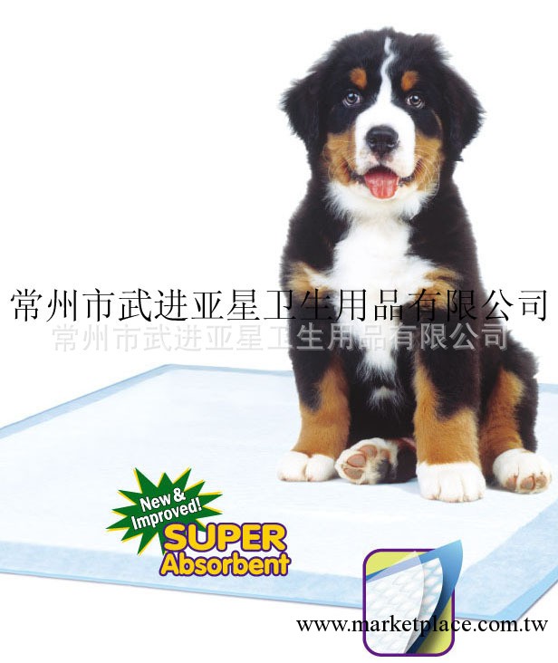 供應不同尺寸寵物尿墊工廠,批發,進口,代購