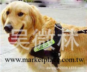 大型犬 警犬+胸背 寵物鏈圈、繩帶 寵物用品工廠,批發,進口,代購
