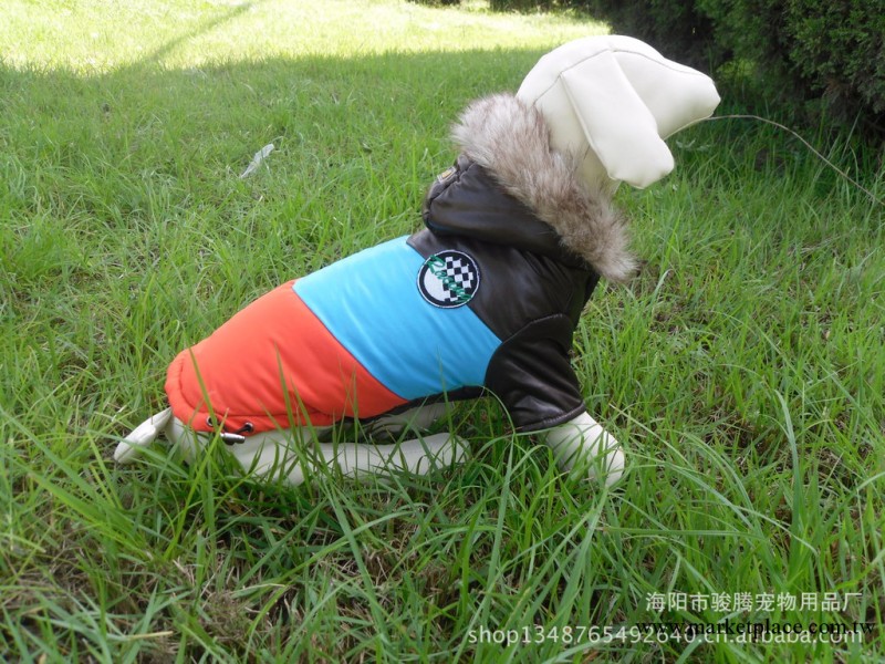 寵物服裝廠傢2013新款狗狗防寒服工廠,批發,進口,代購