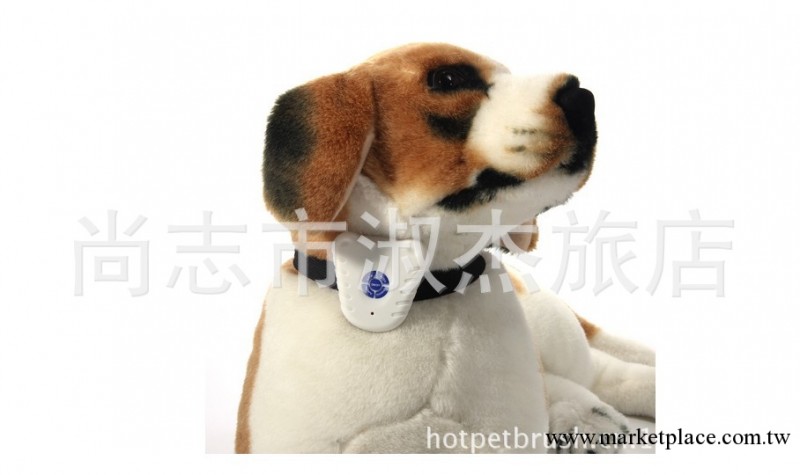 寵物訓導 用品 寵物止吠器 小型犬 幼犬訓練 寵物用品 聲波發聲音工廠,批發,進口,代購