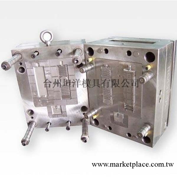 坦洋模具廠專業供應模具 精密模具，精密模具加工制造工廠,批發,進口,代購