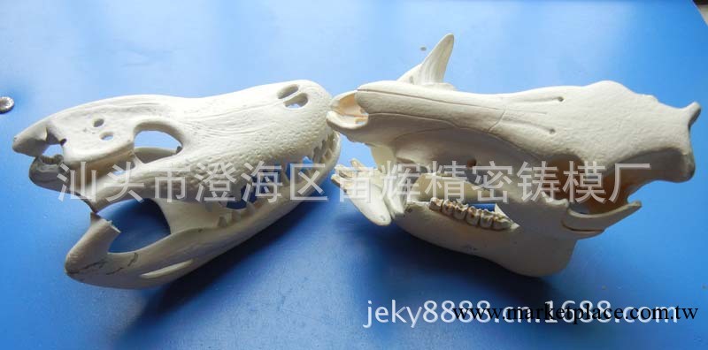 化石模型模具加工工廠,批發,進口,代購