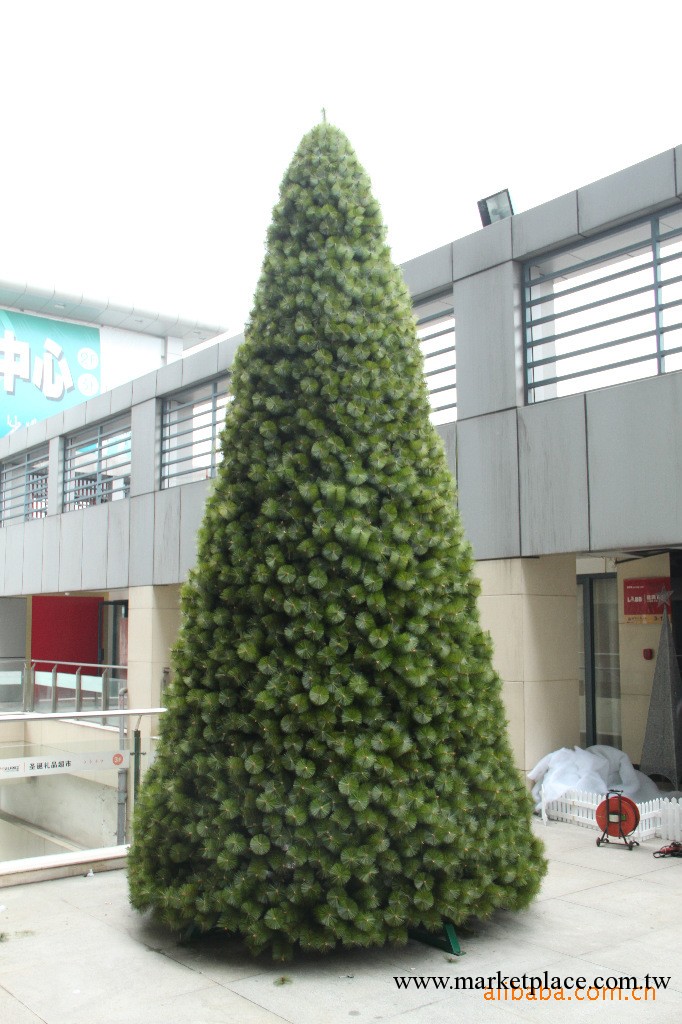 供應聖誕大樹,大型聖誕樹,混合樹,松針樹,裝飾樹批發・進口・工廠・代買・代購