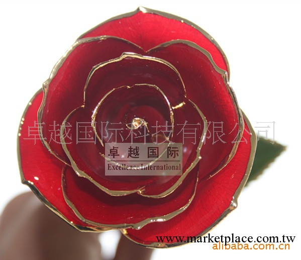 鍍金玫瑰【情人節熱賣】情人禮品鍍金玫瑰/聖誕禮品鍍金玫瑰工廠,批發,進口,代購