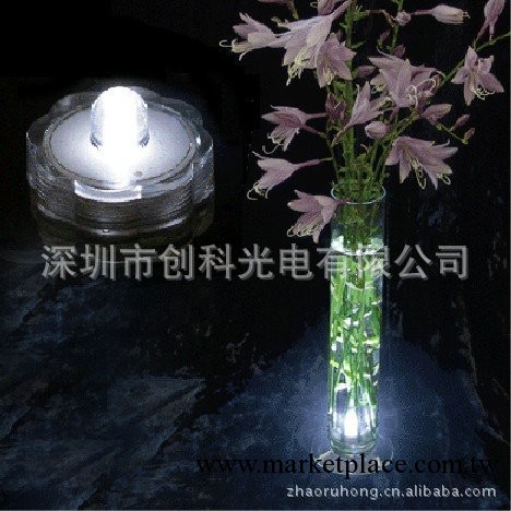 創意發光禮品 led電子潛水燈 水族燈 魚缸燈 花瓶燈 聖誕節裝飾工廠,批發,進口,代購