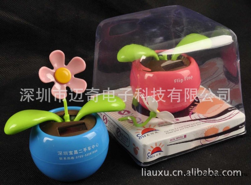 供應高品質太陽能蘋果花帶有開關太陽能公仔聖誕禮品精品工廠,批發,進口,代購