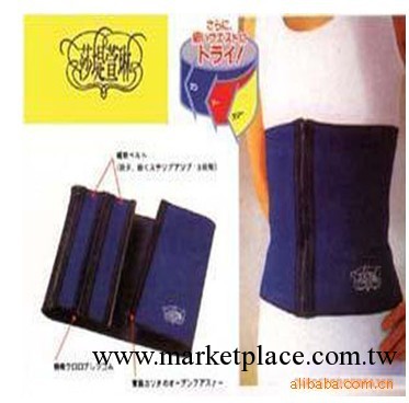 【莎緹萱琳】【三段瘦身健美腰帶】比四段腰帶更緊湊 腰帶工廠,批發,進口,代購