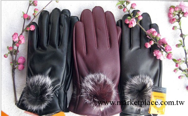 2013新款保暖手套 時尚大氣 廠傢直銷 量大從優批發・進口・工廠・代買・代購