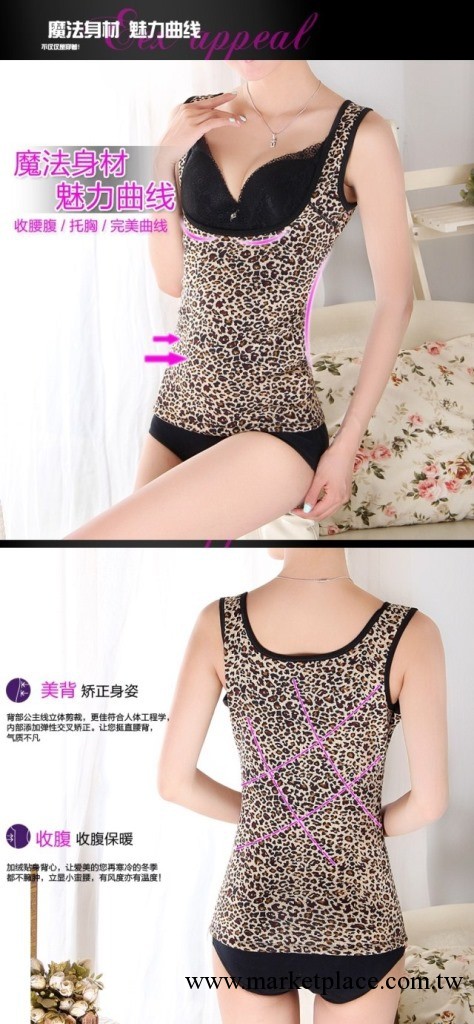 美體加厚加絨女式保暖背心 女士托胸保暖內衣 低胸塑身保暖背心工廠,批發,進口,代購