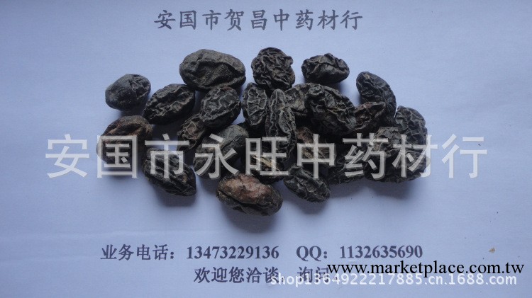 批發各種安國中藥器械 柯子 金柯子 產品圖片實拍批發・進口・工廠・代買・代購