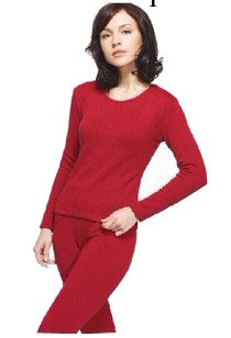 款熱銷女厚舒絨萊卡秋冬女式保暖內衣套裝 20932D0 21750D0工廠,批發,進口,代購