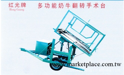 多功能奶牛翻轉手術臺 電視臺報道推廣工廠,批發,進口,代購