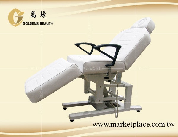 熱銷推薦 電動推拿美容床 DM-270 高檔按摩美容床工廠,批發,進口,代購