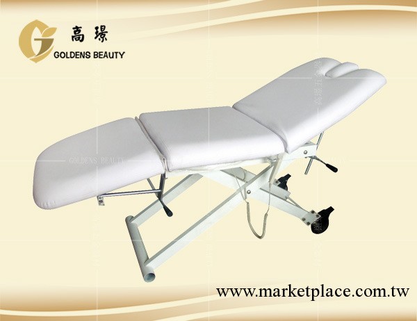 批發供應 時尚電動美容床 DM-272 高檔按摩美容床工廠,批發,進口,代購