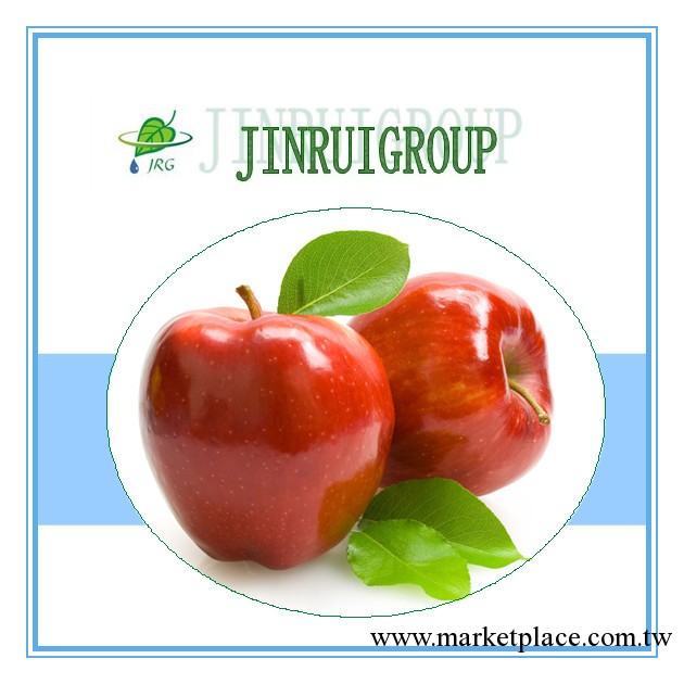 廠傢供應純天然蘋果提取物 apple extract  根皮甙工廠,批發,進口,代購
