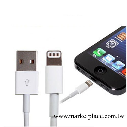蘋果iPhone5 USB數據線 充電線 iPad4 iPa工廠,批發,進口,代購