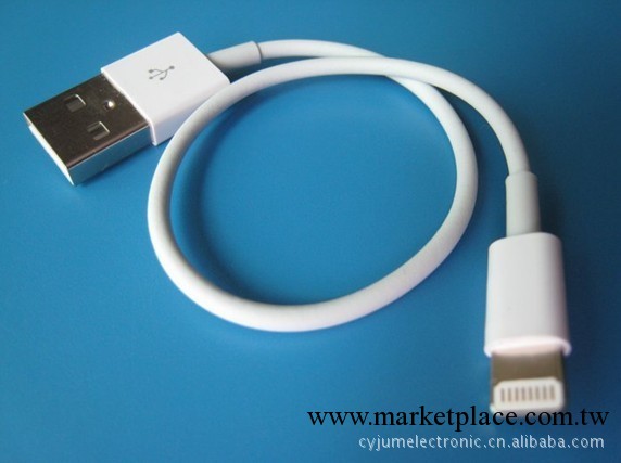 供應全新蘋果iPhone 5 數據線（短線） 充電線, USB線工廠,批發,進口,代購
