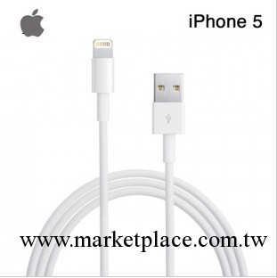 工廠批發 iPhone5 數據線 傳輸線 蘋果5 8針接口充電線 轉接頭工廠,批發,進口,代購