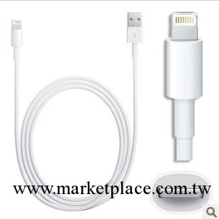 蘋果iphone5 數據線 蘋果5數據線 手機數據線 充電傳數據工廠,批發,進口,代購