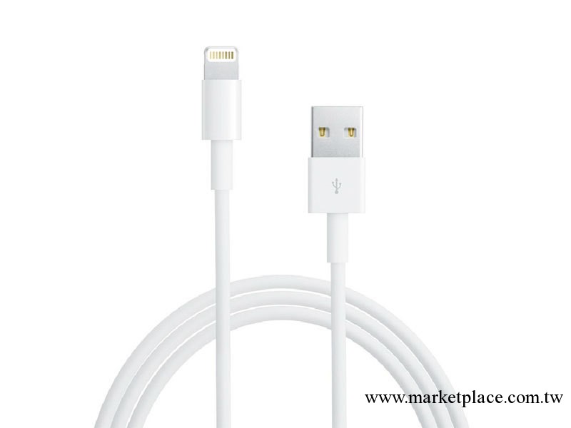 蘋果5數據線　iphone5數據線 iPad mini通用數據線工廠,批發,進口,代購