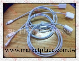 廠傢直銷 蘋果iphone5 5S 7.0系統數據充電延長線 高質量工廠,批發,進口,代購