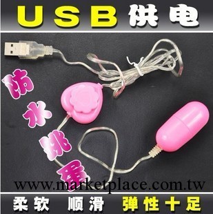 酒店批發供應正品來樂牌usb跳蛋電腦騎車可用夫妻情趣成人用品工廠,批發,進口,代購