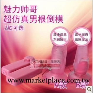 女用自慰器具成人用品G點後庭震動肛塞肛門栓男用兩款隨機發貨工廠,批發,進口,代購