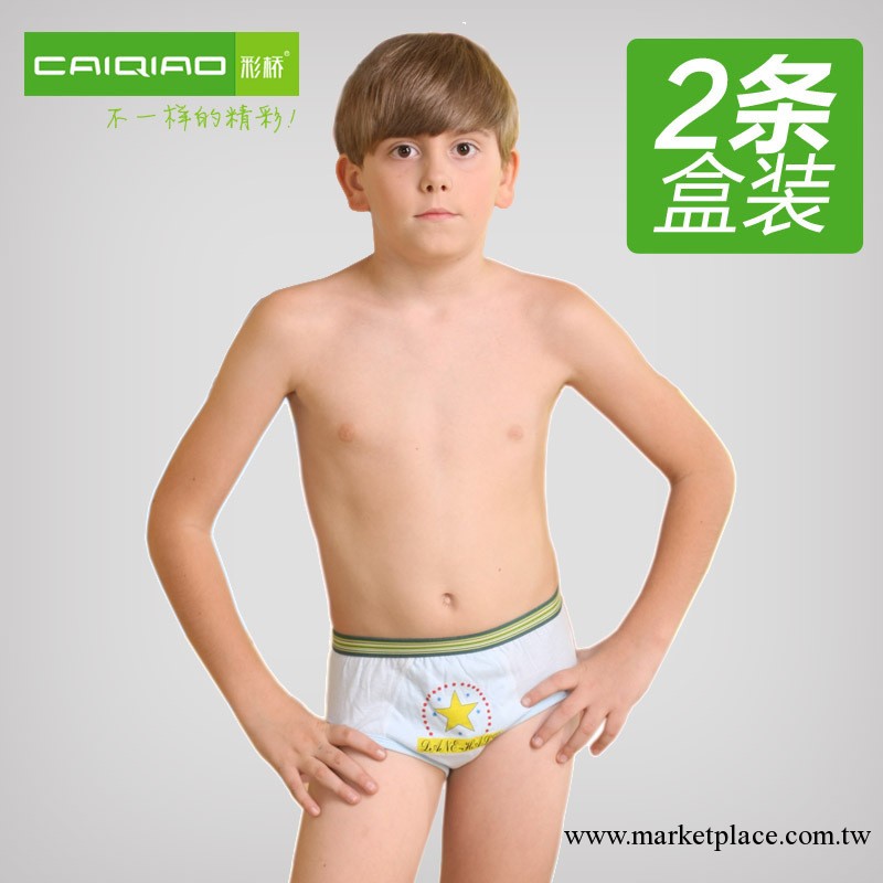 【長期供應】暢銷彩橋純棉兒童內衣批發 全棉男童三角小內褲工廠,批發,進口,代購