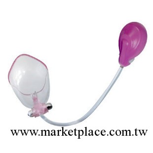 批發供應百樂成人用品 BI-014096-1大內密探2 女用震動工廠,批發,進口,代購