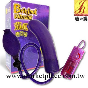 積之美女用自慰器茄瓜震動擴肛器充氣式後庭肛門塞成人情趣情趣用品工廠,批發,進口,代購
