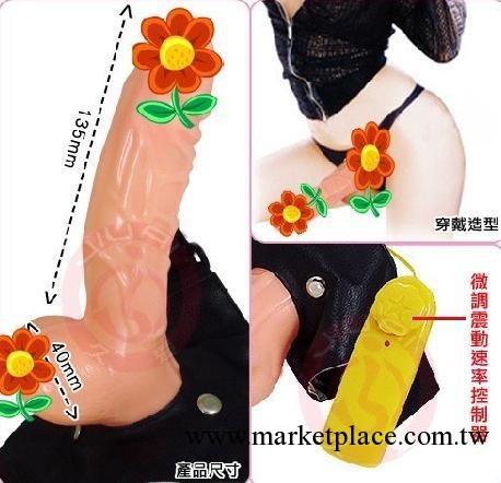 廠傢直銷批發成人用品 性保健品 男女兩用 震動皮褲 器具系列工廠,批發,進口,代購