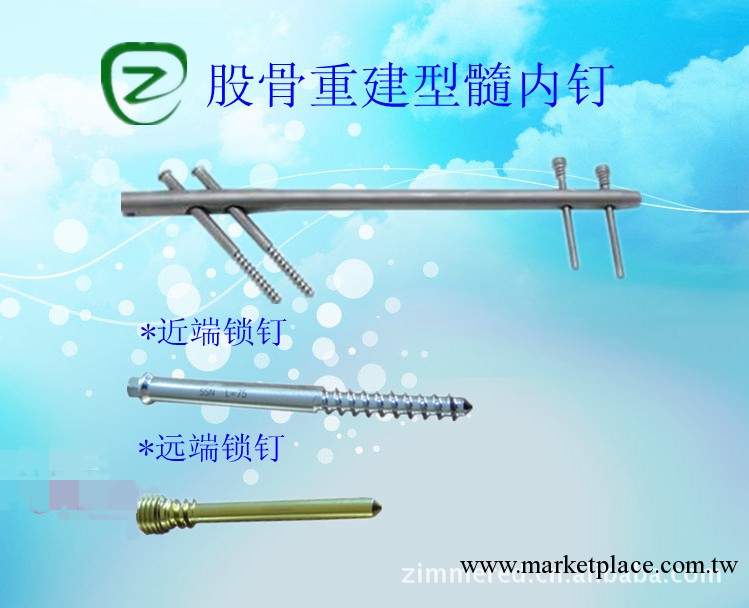 骨科內植入物-股骨重建型髓內釘工廠,批發,進口,代購