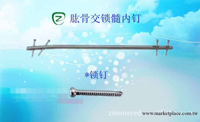 骨折內植入物-肱骨交鎖髓內釘工廠,批發,進口,代購