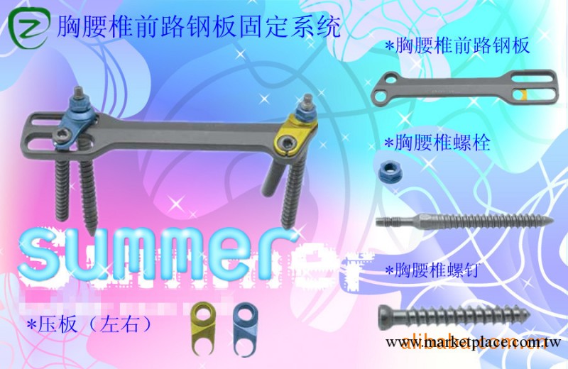 骨科內固定器-胸腰椎前路鋼板工廠,批發,進口,代購
