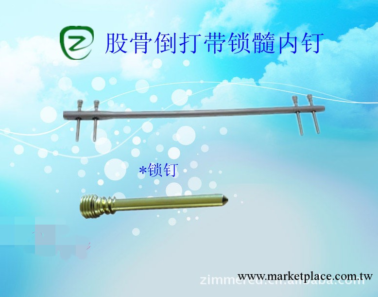 骨科內植入物-股骨倒打帶鎖髓內釘工廠,批發,進口,代購