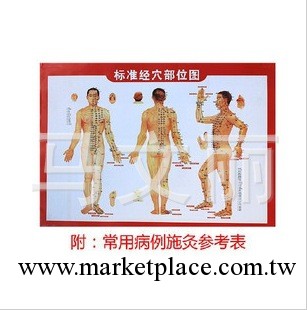艾灸必備人體經絡圖掛圖|穴位圖|施灸參考雙面工廠,批發,進口,代購