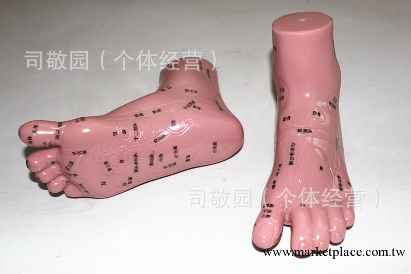 批發足療/腳部模具足部穴位模具 腳模 穴位圖 足療穴位按摩圖足模工廠,批發,進口,代購