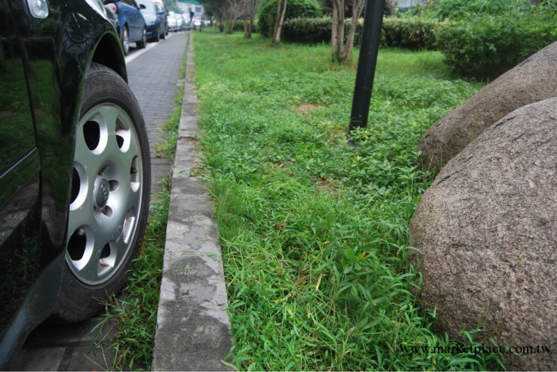 汽車盲區可視系統，導盲眼，導盲攝像頭，右前可視工廠,批發,進口,代購